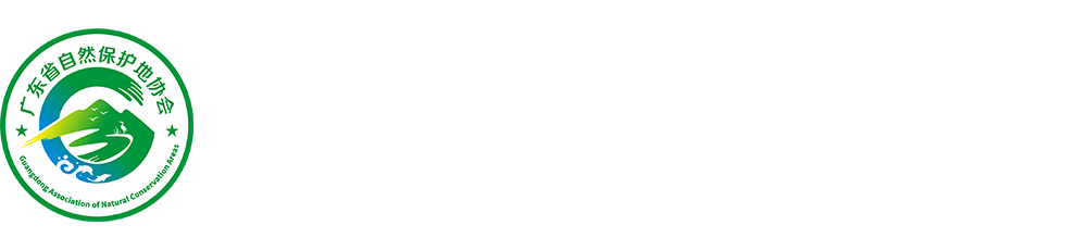 中文名称